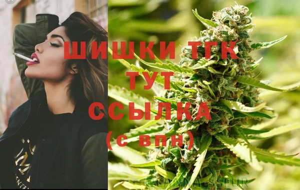 соль ск Белокуриха