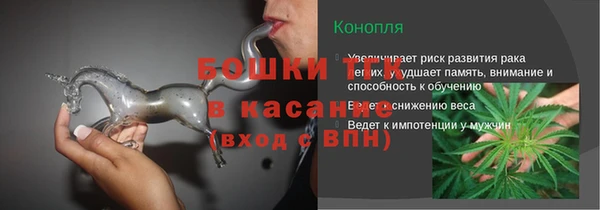 соль ск Белокуриха