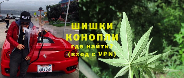 соль ск Белокуриха