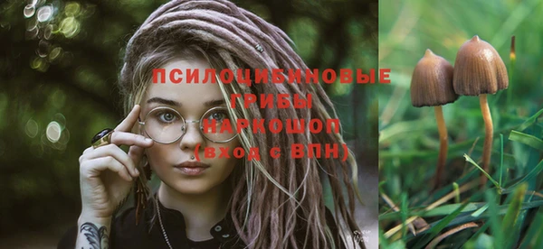 дживик Беломорск